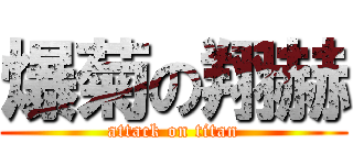 爆菊の翔赫 (attack on titan)