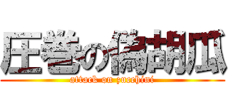 圧巻の偽胡瓜 (attack on zucchini)