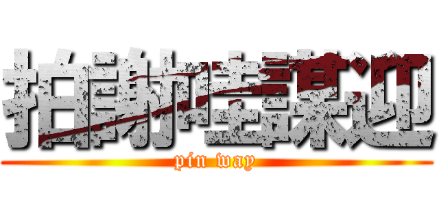 拍謝哇謀迎 (pin way)