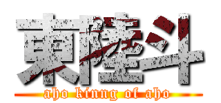 東陸斗 (aho kinng of aho)