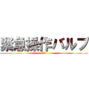 緊急操作バルブ (一番星)