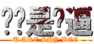 你们是傻逼 (U ARE SHY BEE)