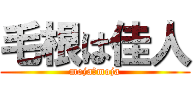 毛根は佳人 (moja　moja)
