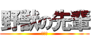 野獣の先輩 (いんむ)