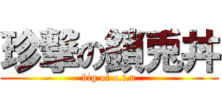 珍撃の鎖兎丼 (big of o.t.n)