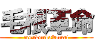 毛根革命 (moukonkakumei)