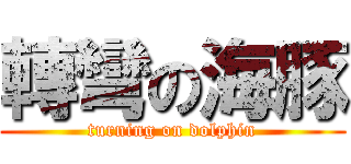 轉彎の海豚 (turning on dolphin)