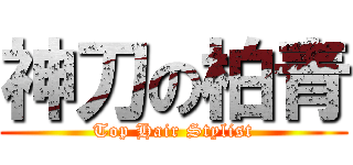 神刀の柏青 (Top Hair Stylist)