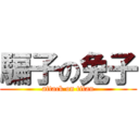 騙子の兔子 (attack on titan)