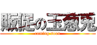 販促の玉葱兎 (coming soon)