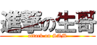 進撃の生哥 (attack on SAM)