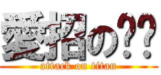 愛招のㄓㄜ (attack on titan)
