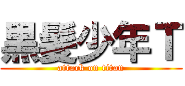 黒髪少年Ｔ (attack on titan)