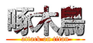 啄木鳥 (attack on titan)