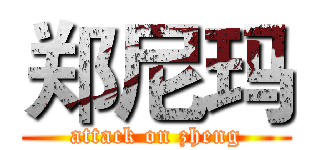 郑尼玛 (attack on zheng)