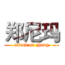 郑尼玛 (attack on zheng)