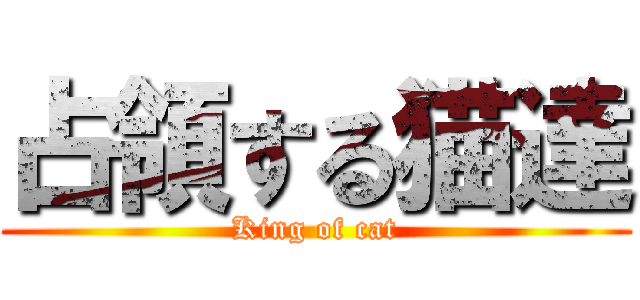 占領する猫達 (King of cat)