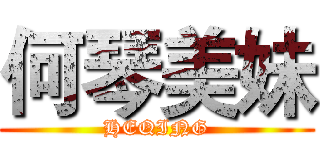 何琴美妹 (HEQING)