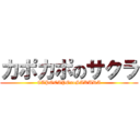 カポカポのサクラ (CAPOCAPOnoSAKURA)