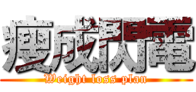 瘦成閃電 (Weight loss plan)