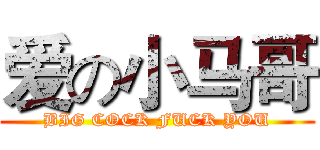 爱の小马哥 (BIG COCK FUCK YOU)