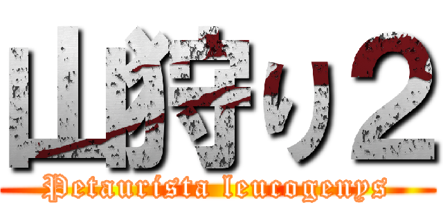 山狩り２ (Petaurista leucogenys)