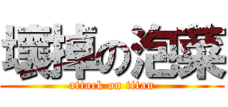 壞掉の泡菜 (attack on titan)