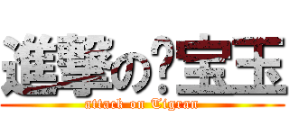 進撃の杨宝玉 (attack on Tigran)