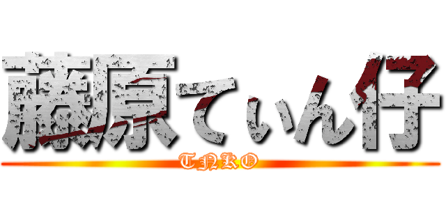 藤原てぃん仔 (TNKO)