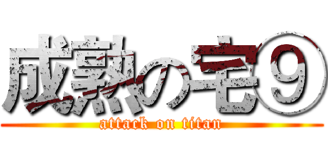 成熟の宅⑨ (attack on titan)