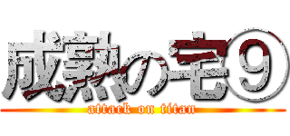 成熟の宅⑨ (attack on titan)
