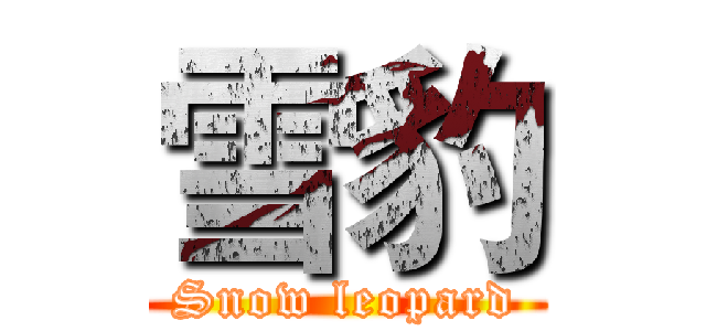 雪豹 (Snow leopard)