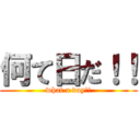 何て日だ！！ (what a day!!)