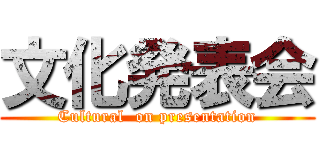 文化発表会 (Cultural  on presentation)