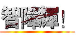 智障輝！ ()
