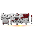 智障輝！ ()