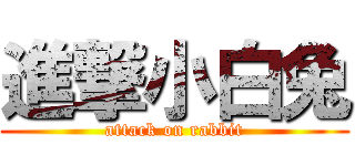 進撃小白兔 (attack on rabbit)