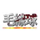 毛線球 (日韓精品)