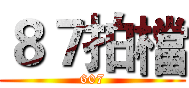 ８７拍檔 (607)