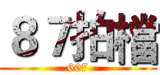 ８７拍檔 (607)