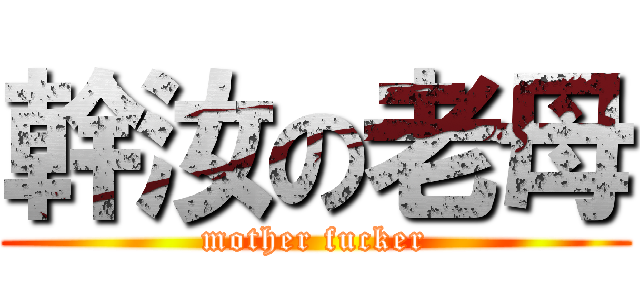 幹汝の老母 (mother fucker)