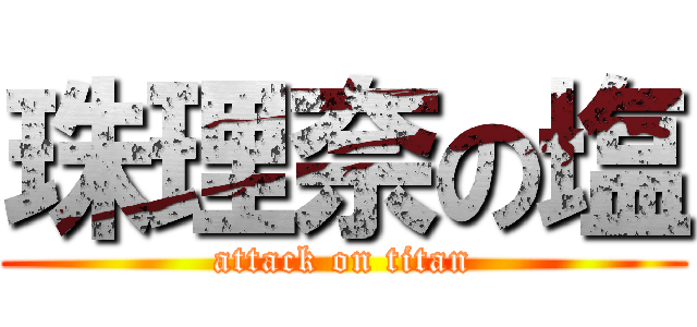珠理奈の塩 (attack on titan)