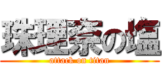 珠理奈の塩 (attack on titan)