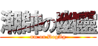 潮帥の幽靈 (nm on DogAg)