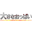 大きなおっぱい (kyonyu)