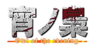 宵ノ梟 (Owl of the evening)