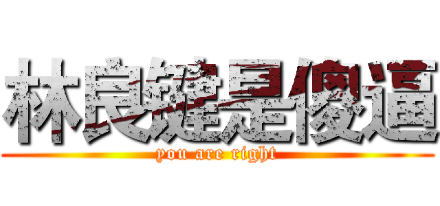 林良键是傻逼 (you are right)