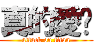 真的愛你 (attack on titan)