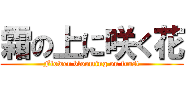 霜の上に咲く花 (Flower blooming on frost)