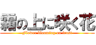 霜の上に咲く花 (Flower blooming on frost)